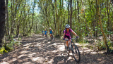 Bikeferien in der Toscana - Woche 23 - Compañero Thomas berichtet