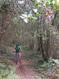 Bikeferien in der Toscana - Woche 23 - Compañero Thomas berichtet