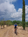 Bikeferien in der Toscana - Woche 23 - Compañero Thomas berichtet