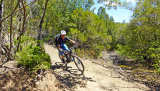 Bikeferien in der Toscana - Woche 23 - Compañero Thomas berichtet