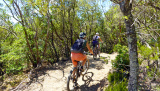 Bikeferien in der Toscana - Woche 23 - Compañero Thomas berichtet