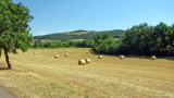 Bikeferien in der Toscana - inklusive Easy E-Bike Programm - Irina rockt  die Trails in der Maremma