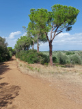 Bikeferien in der Toscana - Woche 36 - Denise erlebt und geniesst đ