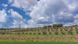 Bikeferien in der Toscana - Woche 36 - Denise erlebt und geniesst đ