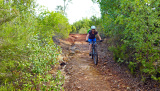 Bikeferien in der Toscana - Woche 36 - Denise erlebt und geniesst đ