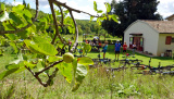 Bikeferien in der Toscana - Woche 36 - Denise erlebt und geniesst đ
