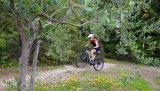 Bikeferien in der Toscana - Woche 37 - Daniela rockt die Maremma