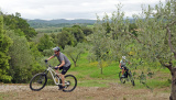 Bikeferien in der Toscana - Woche 37 - Daniela rockt die Maremma