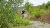 Bikeferien in der Toscana - Woche 37 - Daniela rockt die Maremma