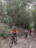 Bikeferien in der Toscana - Woche 37 - Daniela rockt die Maremma