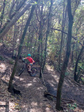 Bikeferien in der Toscana - Woche 37 - Daniela rockt die Maremma