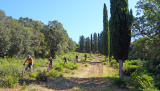 Bikeferien in der Toscana - Woche 38 - Sarah im Trail Paradies der Toscana