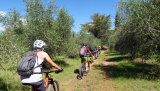 Bikeferien in der Toscana - Woche 38 - Sarah im Trail Paradies der Toscana