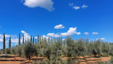 Bikeferien in der Toscana - Woche 38 - Sarah im Trail Paradies der Toscana