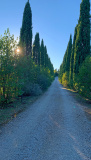 Bikeferien in der Toscana - Woche 38 - Sarah im Trail Paradies der Toscana