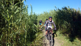 Bikeferien in der Toscana - Woche 38 - Sarah im Trail Paradies der Toscana
