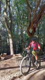 Bikeferien in der Toscana - Woche 38 - Sarah im Trail Paradies der Toscana