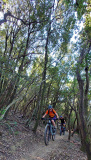 Bikeferien in der Toscana - Woche 38 - Sarah im Trail Paradies der Toscana