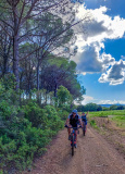 Bikeferien in der Toscana - Woche 39 - Andrin der Wiederholungstäter