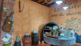Bikeferien in der Toscana - Woche 39 - Andrin der Wiederholungstäter