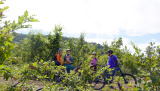 Bikeferien in der Toscana - Woche 40 - Toscana-ABC 2022