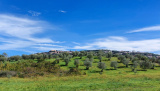 Bikeferien in der Toscana - Woche 40 - Toscana-ABC 2022