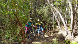 Bikeferien in der Toscana - Woche 41 - Liebes Tagebuch