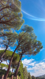 Bikeferien in der Toscana - Woche 41 - Liebes Tagebuch