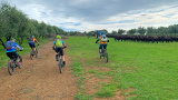 Bikeferien in der Toscana - Woche 41 - Liebes Tagebuch