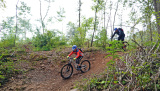 Bikeferien in der Toscana - Woche 41 - Liebes Tagebuch