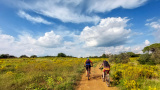 Bikeferien in der Toscana - Woche 41 - Liebes Tagebuch