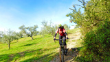 Bikeferien in der Toscana - Woche 41 - Liebes Tagebuch