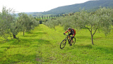 Bikeferien in der Toscana - Woche 41 - Liebes Tagebuch
