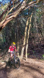 Bikeferien in der Toscana - Woche 41 - Liebes Tagebuch