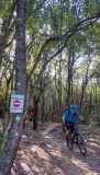 Bikeferien in der Toscana - Woche 41 - Liebes Tagebuch