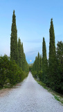 Bikeferien in der Toscana - Woche 41 - Liebes Tagebuch