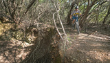 Bikeferien in der Toskana mit MTBeer im Cicalino am Donnerstag, 20. Oktober 2022. Tour in Richtung Follonica. 
Foto Martin Platter - Von jungen und alten Menschen