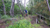Bikeferien in der Toscana - Woche 24 - Schlusswoche mit Easy E-Bike Programm