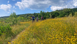 Bikeferien in der Toscana - Woche 24 - Schlusswoche mit Easy E-Bike Programm