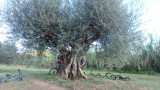 Bikeferien in der Toscana bei mtbeer - Ich bin Fabio, 9 Jahre alt