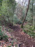 Trailbau Toscana - Trailbau in der Toscana