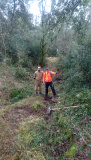 Trailbau Toscana - Trailbau in der Toscana