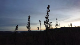 Trailbau Toscana - Trailbau in der Toscana