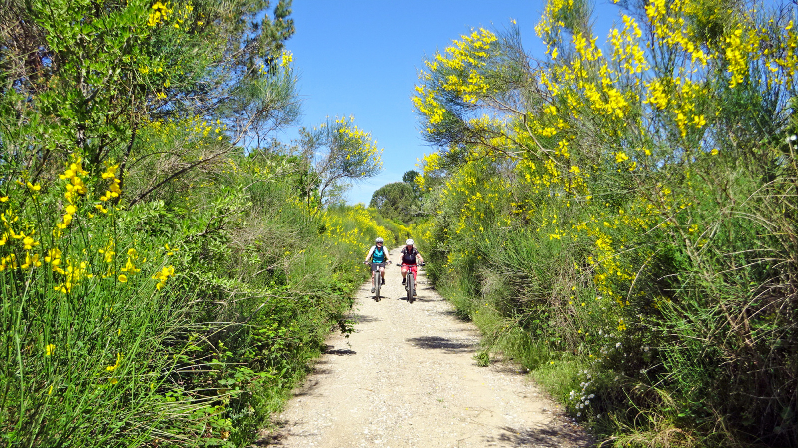 Bikeferien in der Toscana - Woche 19 - Severin zu Besuch bei mtbeer